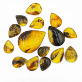 Fossil Amber Handmade Drop Cabochons